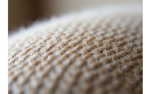 소파 깊숙이 박힌 강아지 털을 현미경으로 관찰하는 모습