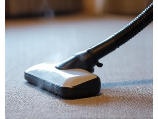 고압 스팀 추출 시스템으로 카페트 청소